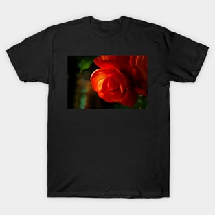 My Begonia T-Shirt